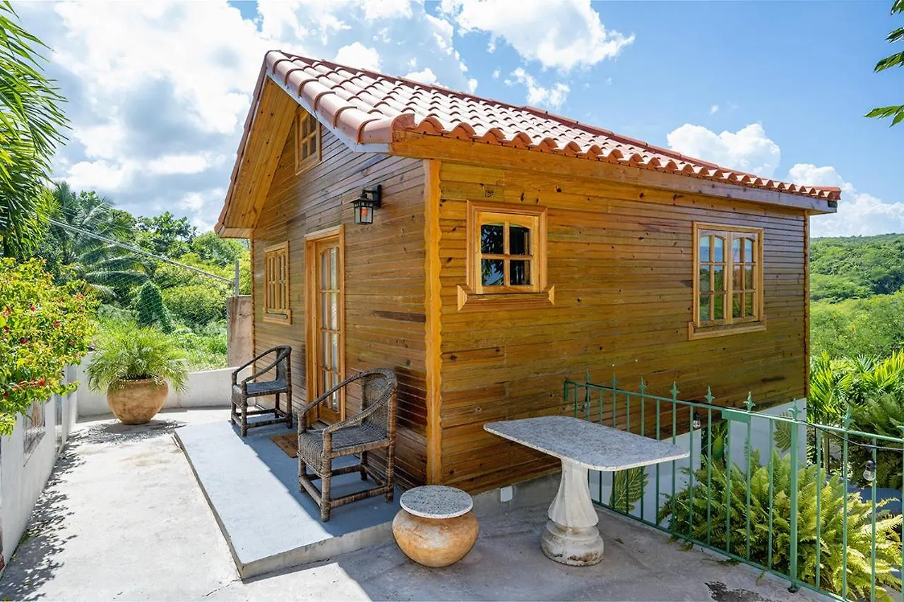Private Tiny House W/ Pool Appartement Montego Bay