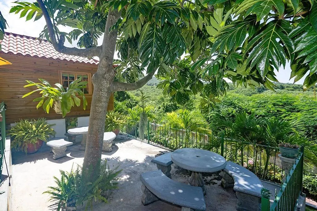 Accommodatie bij particulieren Private Tiny House W/ Pool Appartement Montego Bay